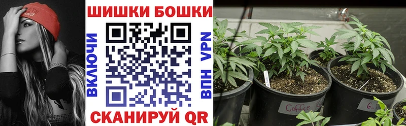 Купить закладку Клинцы Alpha-PVP Амфетамин ГАШ Конопля Меф