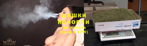 крисы Абдулино