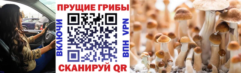 Псилоцибиновые грибы мухоморы Клинцы