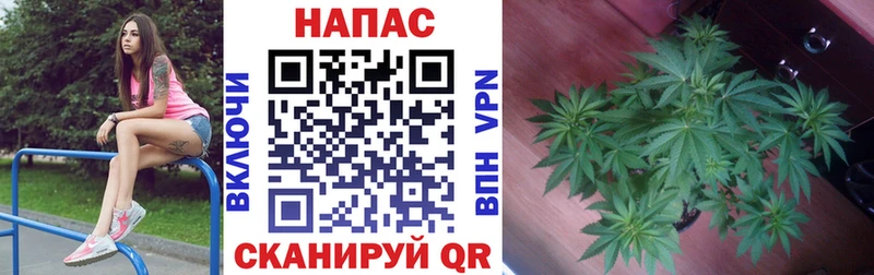 продажа наркотиков  Клинцы  hydra ССЫЛКА  Канабис SATIVA & INDICA 
